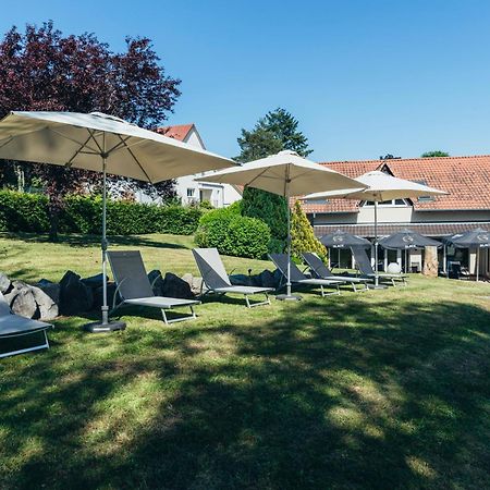 Hotel Spa Et Restaurant Au Chasseur Birkenwald Zewnętrze zdjęcie